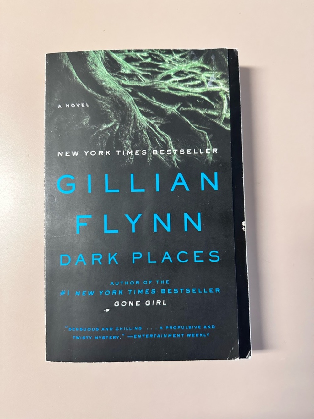 Gillian Flynn "Dark Places" Paperback - Black with Teal Text